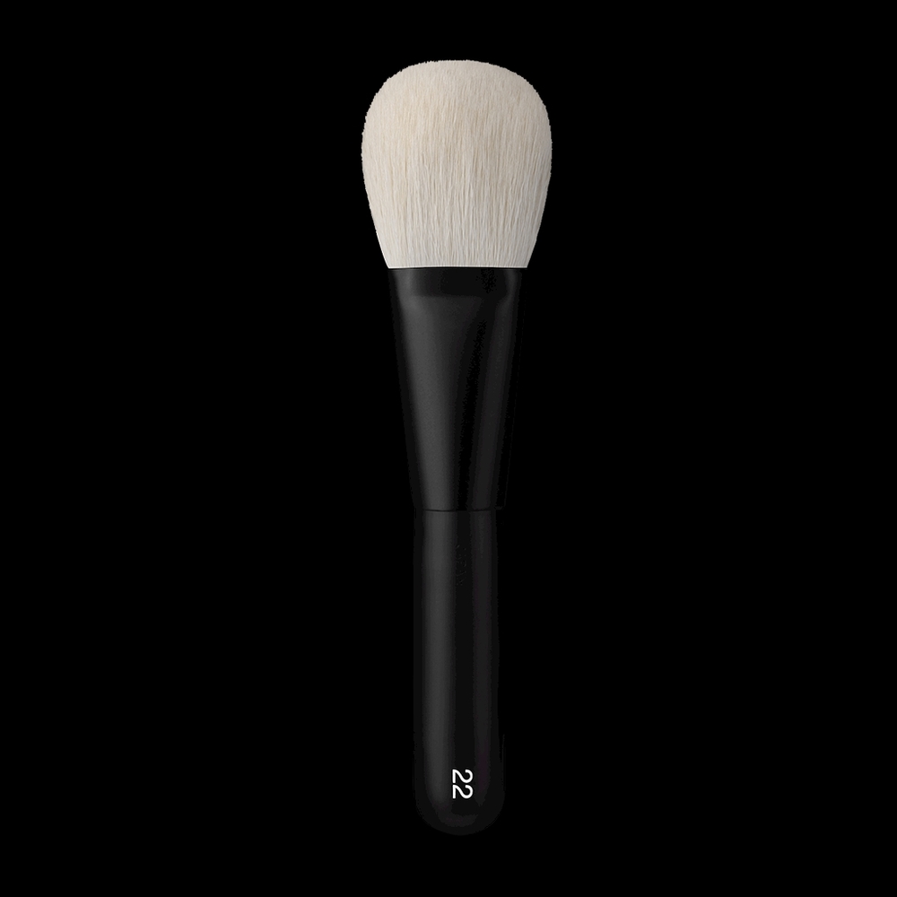 REPHR Brush 22
